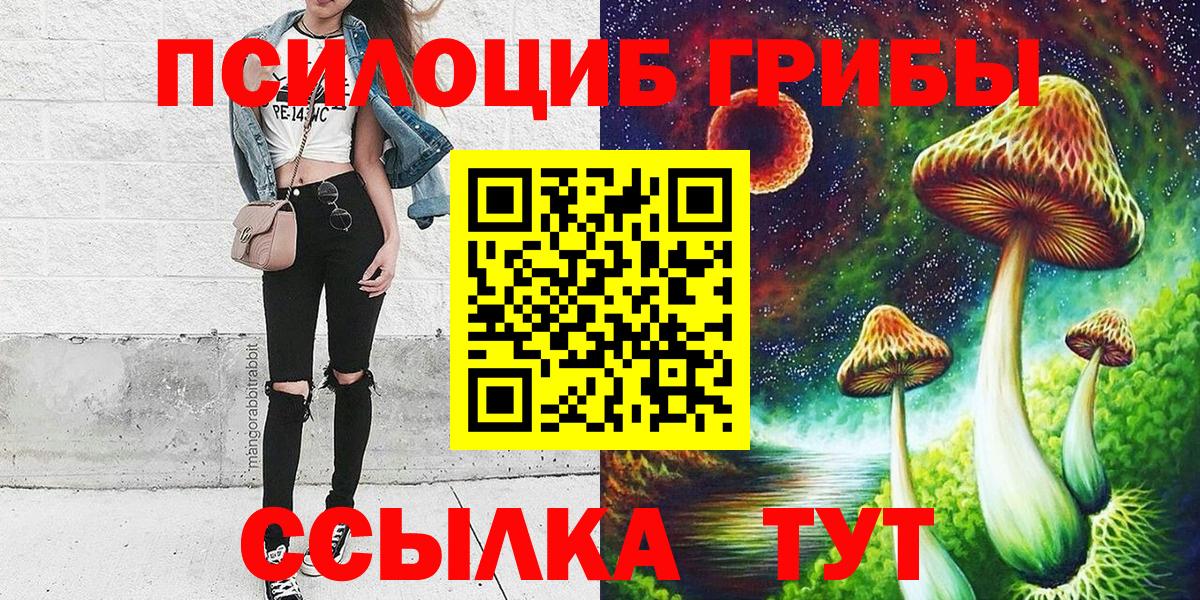 Верхняя Салда  Псилоцибиновые грибы Psilocybe  Вход с VPN  Галлюциногенные грибы GOLDEN TEACHER 